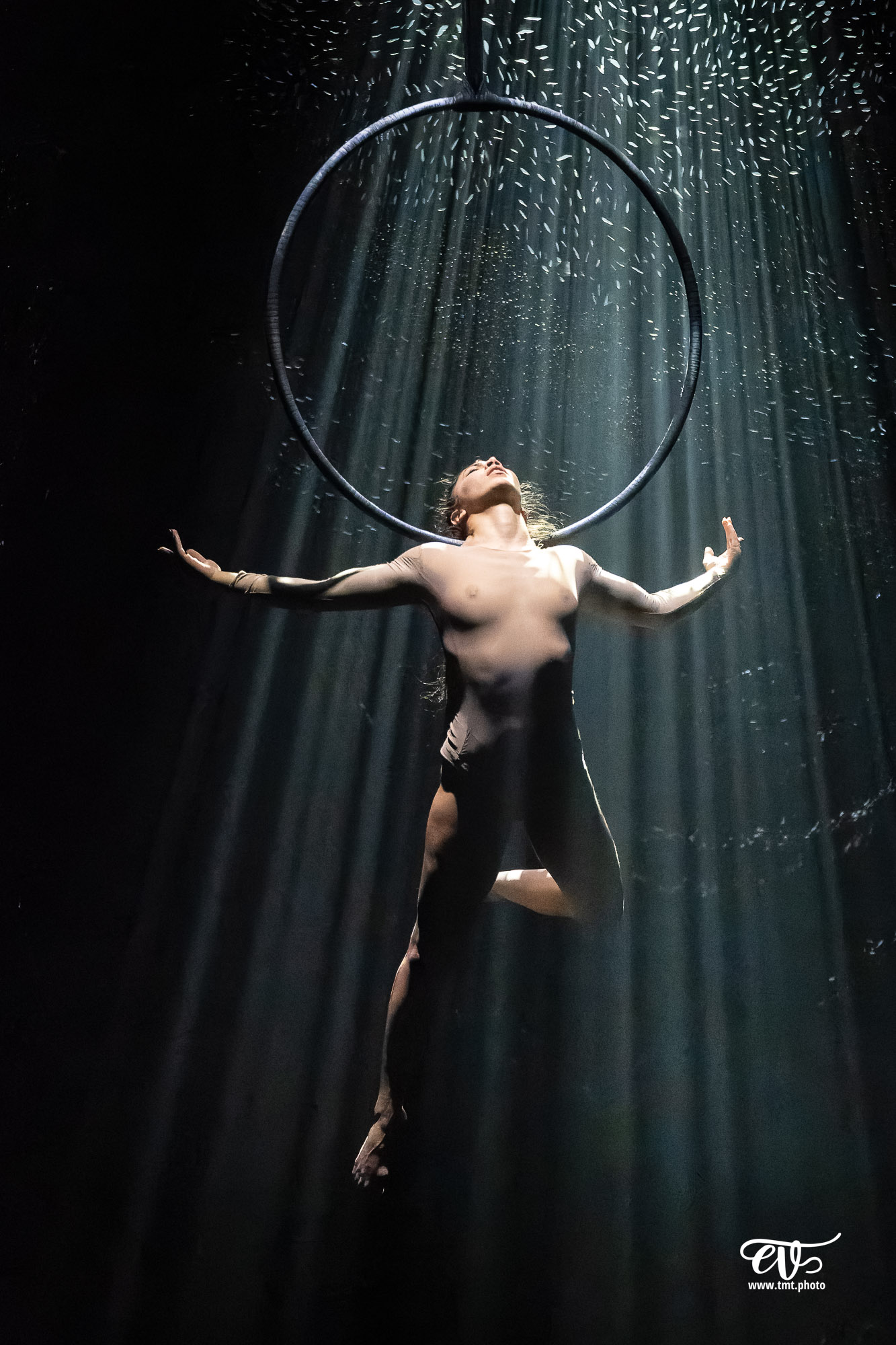 PARADISUM (CIE RECIRQUEL)